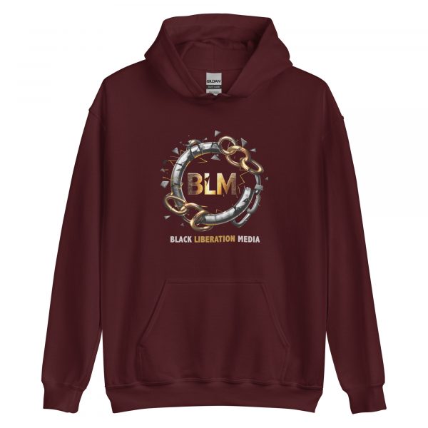 BLMedia Hoodie - Image 4